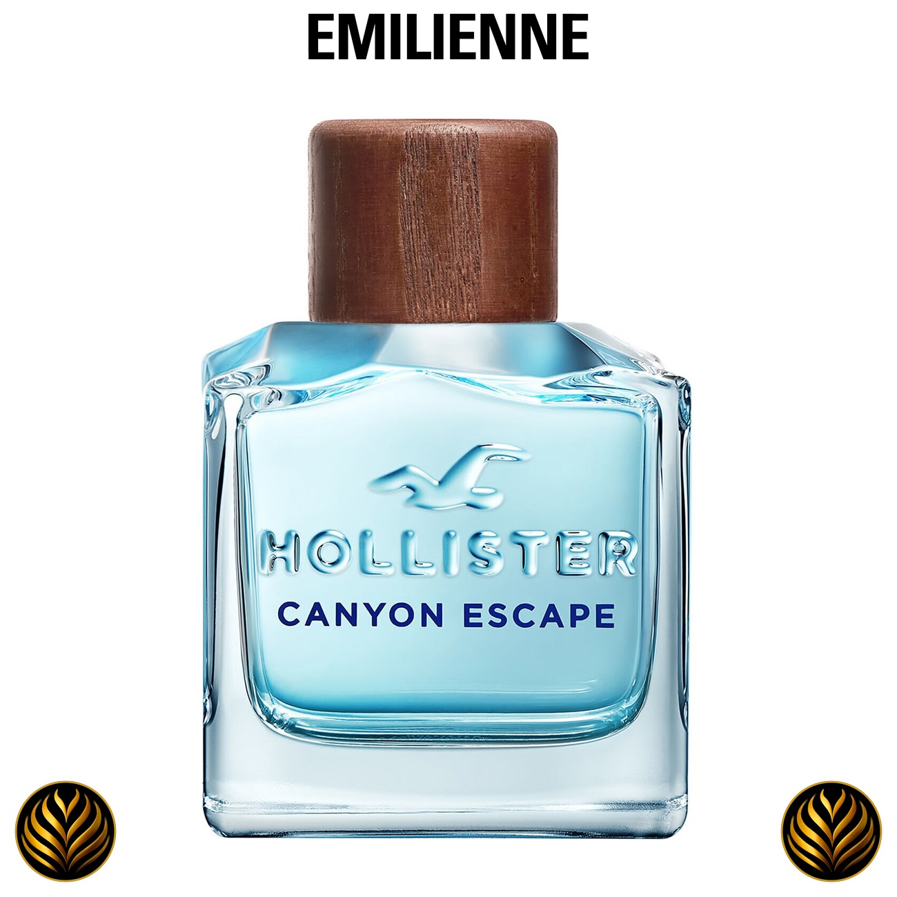 HOLLISTER || Canyon Escape Homme | Eau De Toilette